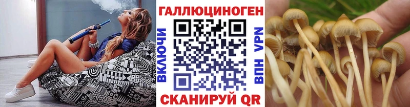 дарнет шоп  Бирюсинск  Галлюциногенные грибы GOLDEN TEACHER 